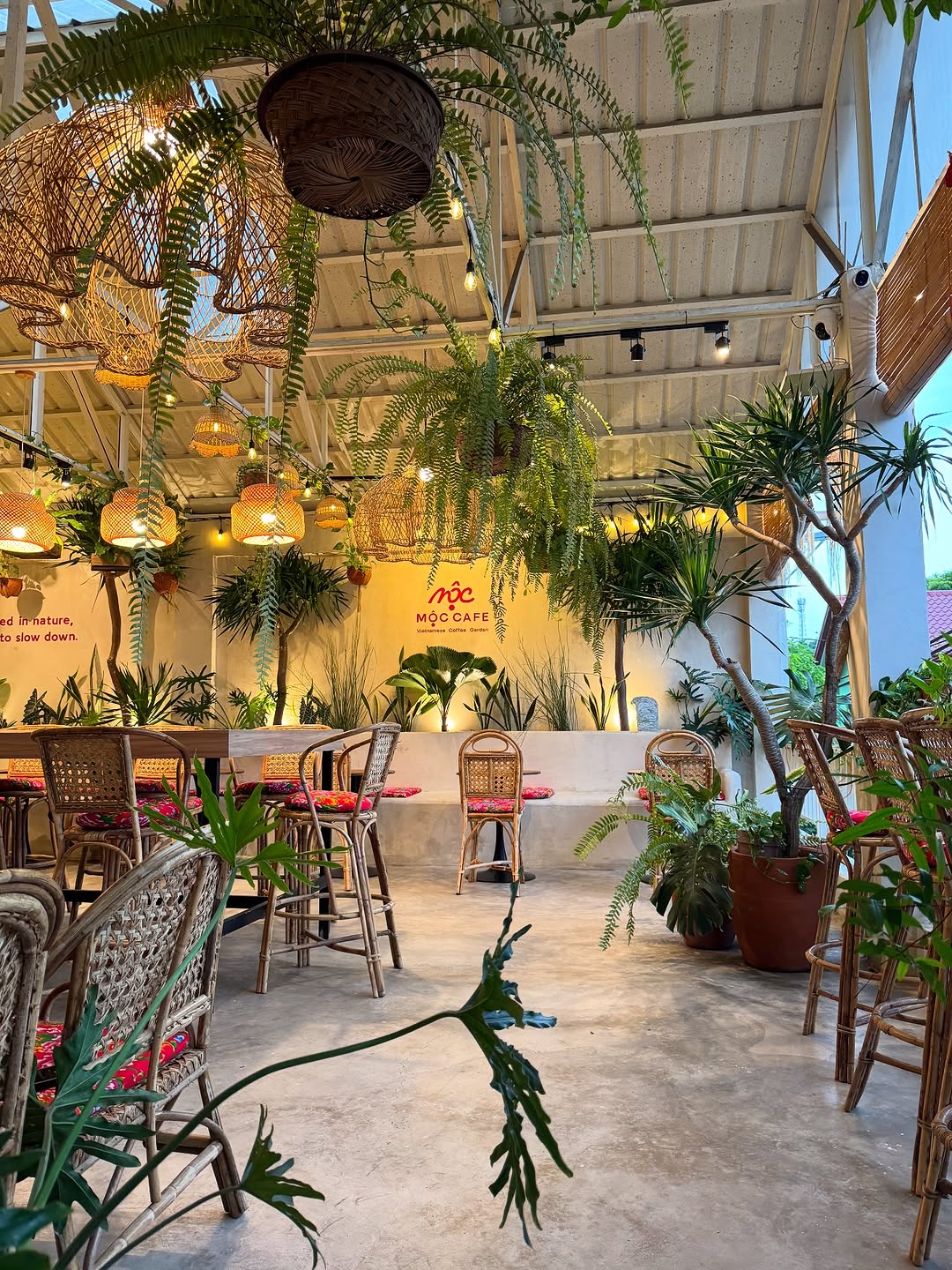 MỘC Cafe interior with hanging plants and rattan chairs