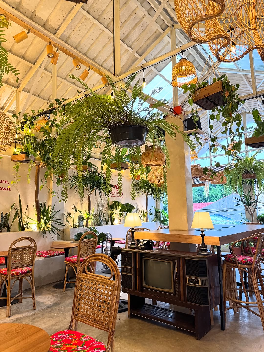 Daylight interior with vintage TV and hanging plants
