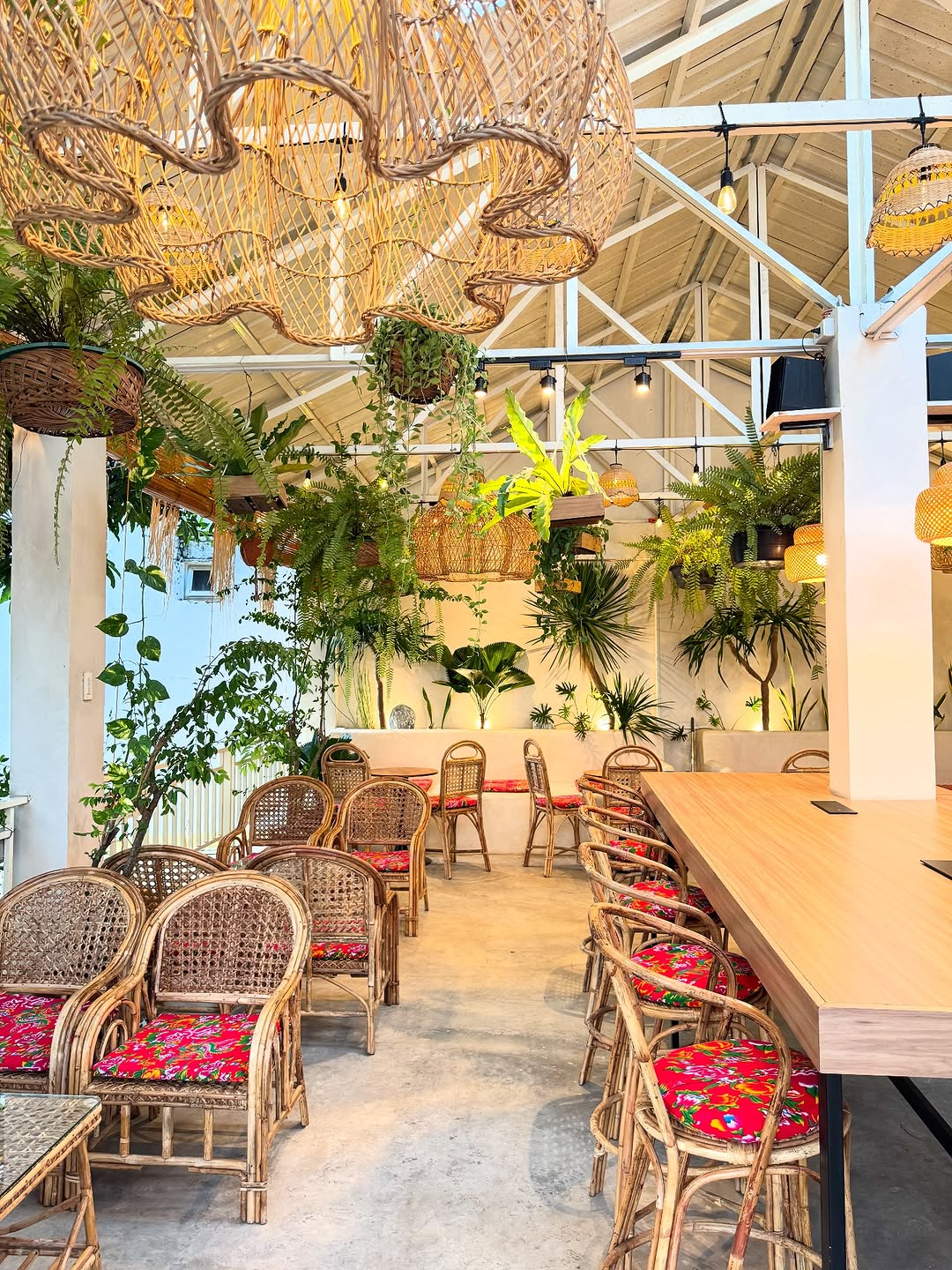Wide shot interior with rattan chairs daytime